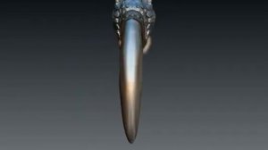 Коготь медведя в серебряную оправу