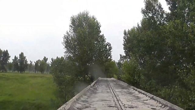 Клубничный vlog.Какие луговые травы растут в нашем крае.Засекреченный объект! смотреть онлайн