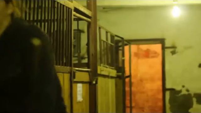 backstage. Видео о том как снимался "День из жизни Фортуны" смотреть онлайн