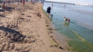 Погода в Анапе сегодня 28 июня 2024. Анапа. Центральный пляж. Чёрное море. Отдых в Анапе 2024 сезон