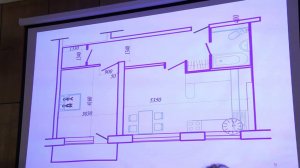 Маргарита Шуменко «Как Помочь Аисту?» Международная Конференция фэн-шуй 2014. Москва