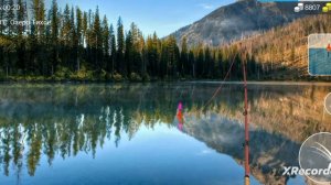 Ловля трофейного окуня в My fishing world.