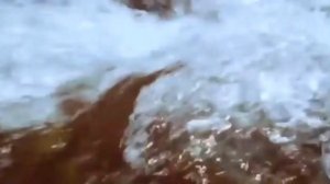 Влияние воды и фуллерена на человеческий организм.
