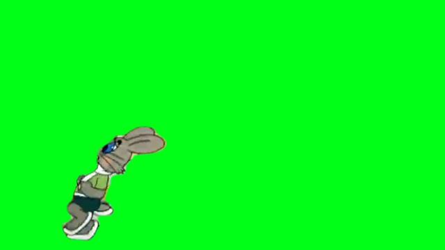 Заяц бежит футаж