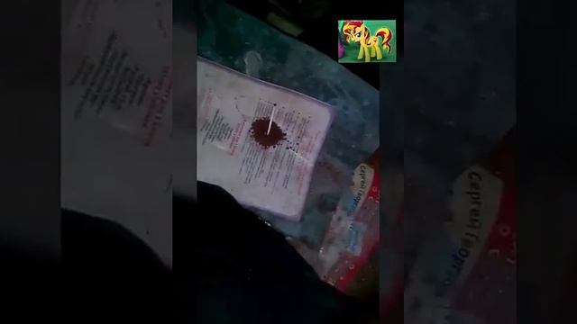 Эксперимент со спичками(порох из спичек) смотреть онлайн