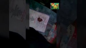 Эксперимент со спичками(порох из спичек)