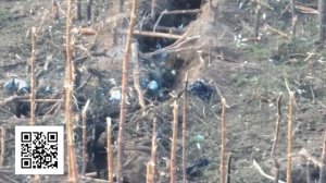 Подвиг бойца 488 полка Александра Викторовича Мальцева.