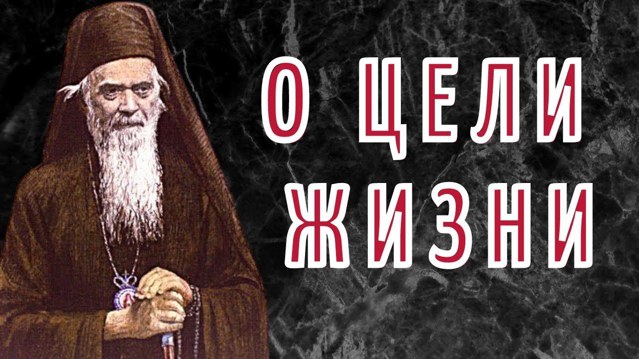 Не гонись за призрачными тенями! - святитель Николай Сербский