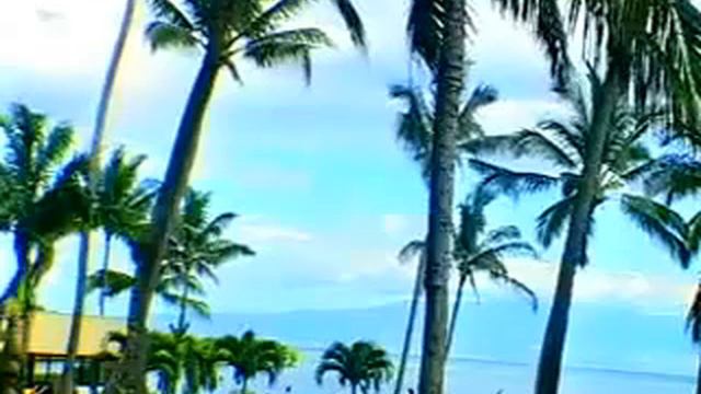 high, patrick moore, H113/1 смотреть онлайн