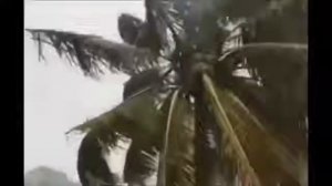 Hurricane Maria hits Dominica/ Tribe of Simeon