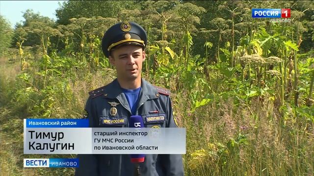 Сотрудники МЧС и Россельхознадзора проверяют пожароопасные участки в Ивановской области смотреть онлайн