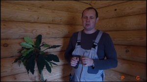 Что такое класс ламината? Разница между 32 и 33 классом ламината и другие классы.