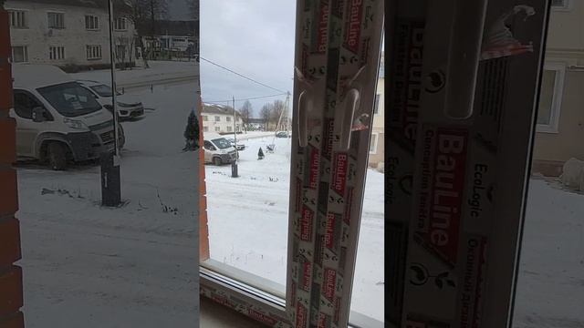 Квартира площадью 37 кв.м.Двухкомнатная.