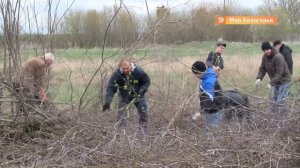 Субботник в Вейделевском районе