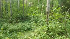 Обзор минитрактора (минивездехода) на гусеницах