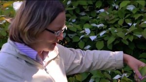 Экзотические растения Экопарка «ТАУ»