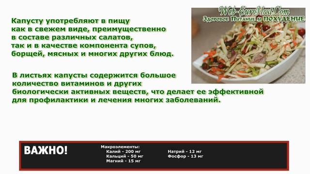 Капуста белокачанная полезные свойства для похудения
