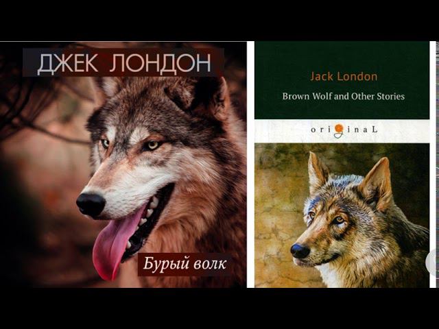 Джек Лондон "Бурый волк" (Перевод М. Богословской)