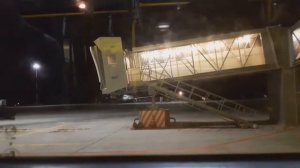 Перелет с котом компанией S7 Airlines