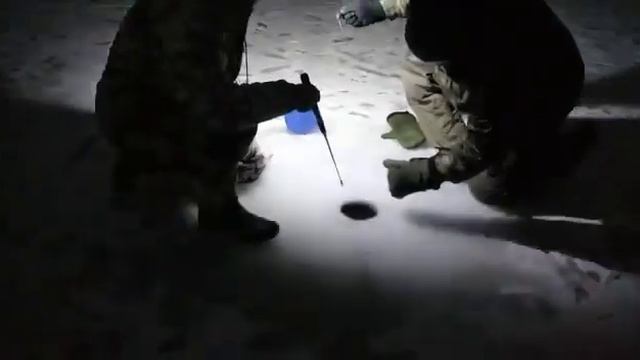 26 ноября 2022 г. смотреть онлайн