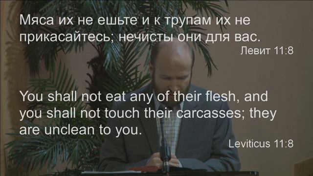 Руслан Кокотэн -- Законы чистой пищи