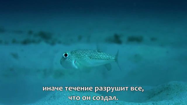 Удивительное строительство, инженерной мысли. смотреть онлайн