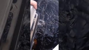 лодочный мотор салют 2 выход на глисс