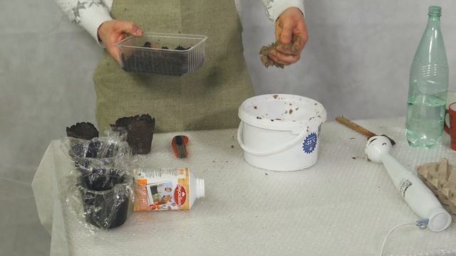 Торфяные горшочки без проблем! Делай с нами своими руками!