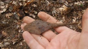 Продолжаем утюжить невыбитое место. Крымские Зарисовки о копе