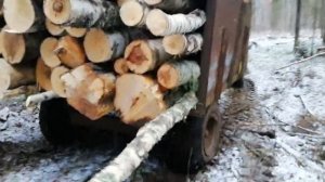 Т-40АМ выезжаем с делянки, возим дрова.