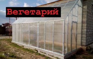 Вегетарий. Строительство.