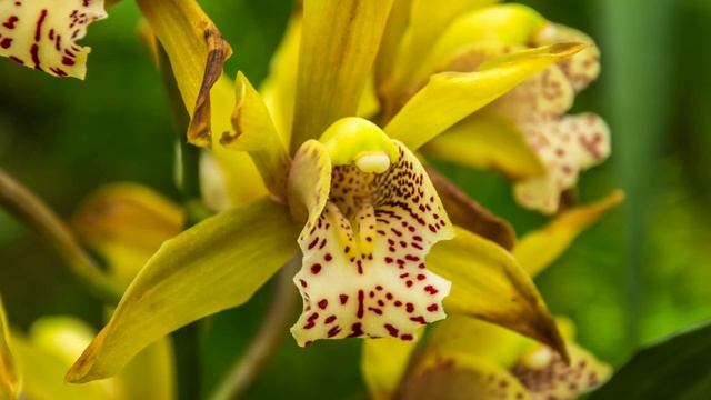 Nikon D5200 with 18-250mm f3.5-6.3 lens samples