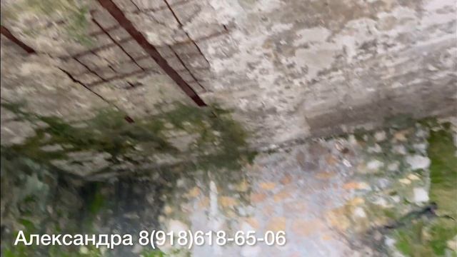 23 марта 2023 гАбхазия/ Весна в Абхазии?/Погода в Абхазии☔️/Старая Гагра-ЭКО ферма-Стеклянный мост!