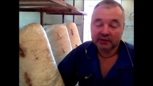 Грибной лохотрон или сколько стоит грибной бизнес