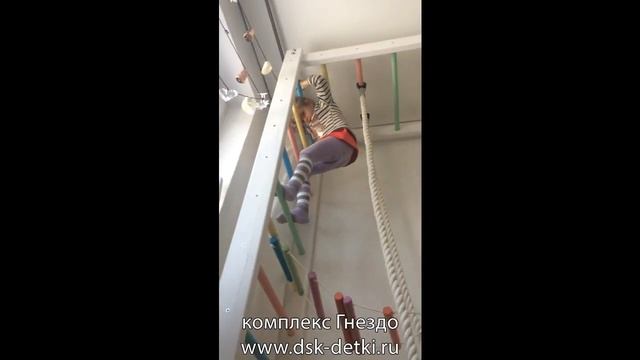 Пристенный комплекс Гнездо