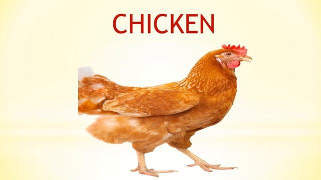 Видео- урок. Тема_ _Домашние животные_ смотреть онлайн