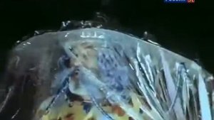 Песня волшебника Сулеймана