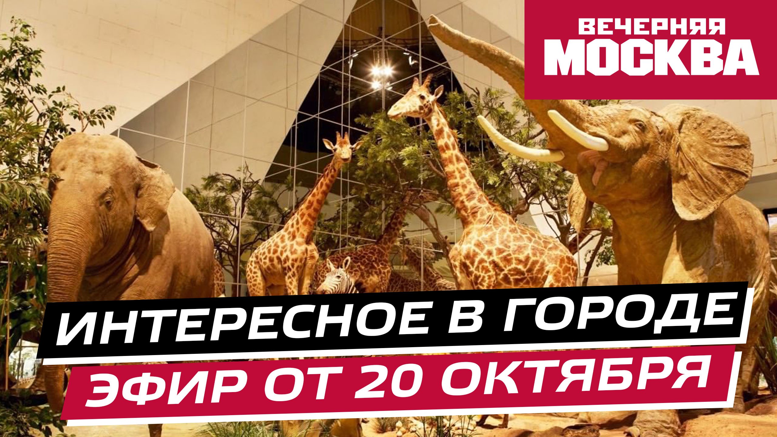 Чем заняться в Москве на выходных? // Интересное в городе
