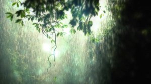 ФУТАЖ Фон с дождём