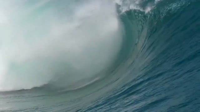 amazing people sea skaters, halobates смотреть онлайн