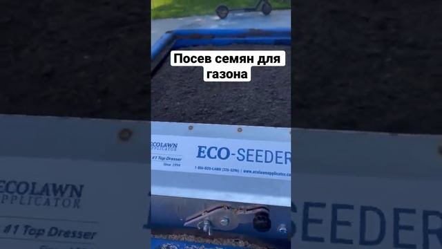 Рулонный газон в СПб / как заменить газон #газонокосилка #газон #посевная #ландшафт #рулонныйгазон