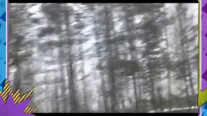 Что делать в машине когда скучно?