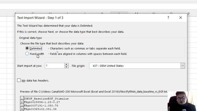 001 - MO-200 Microsoft Excel - Importar datos de un archivo “.txt” смотреть онлайн