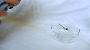 Искусственное вскармливание малышей шиншилл