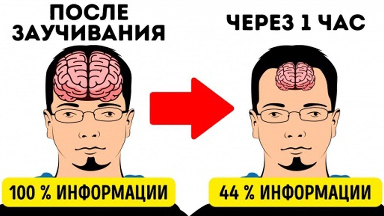 12 СЕКРЕТОВ БЫСТРОГО ЗАПОМИНАНИЯ