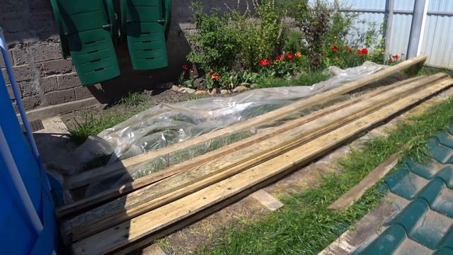ТРУДОЛЮБИВЫЕ ВЬЕТНАМЦЫ. ПРОВЕРИЛИ КУРОЧЕК. КУБАНЬ. ДОМ