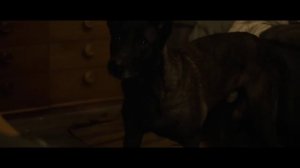 Резервная копия