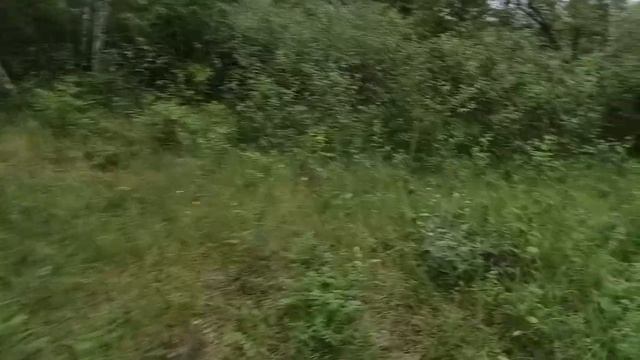 Ловите братья и сëстры рои,,,, и не кого не слушайте??? смотреть онлайн