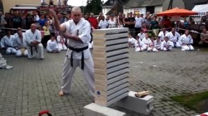 Karate Skill: 14 Bricks