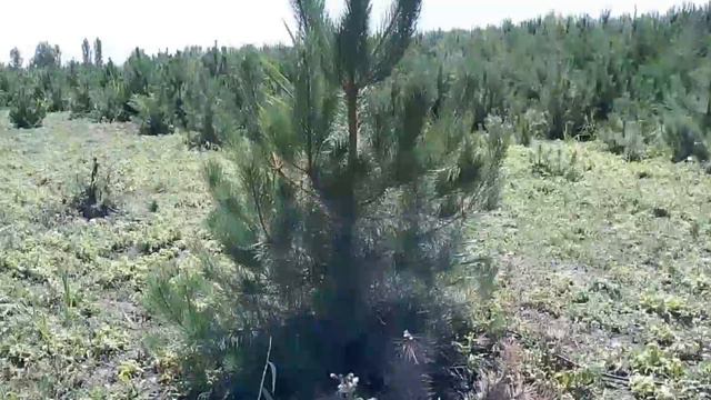 video_2024-08-09_19-28-06 смотреть онлайн